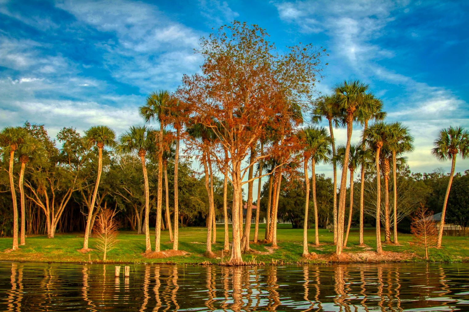 25 Fun and Amazing Day Trips from The Villages, FL