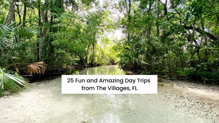 Florida Springs with text on the image that reads: 25 Fun and Amazing Day Trips from The Villages, Florida